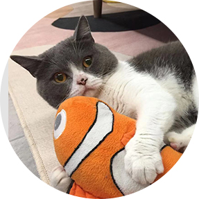 team member Kartoffel