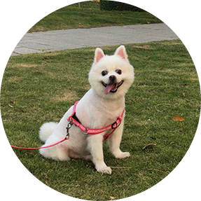 team member Nuby
